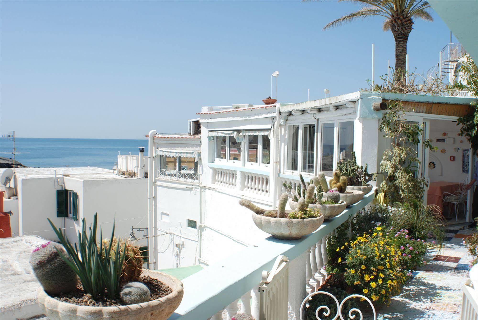 Hotel La Palma Sant'Angelo  Exterior photo