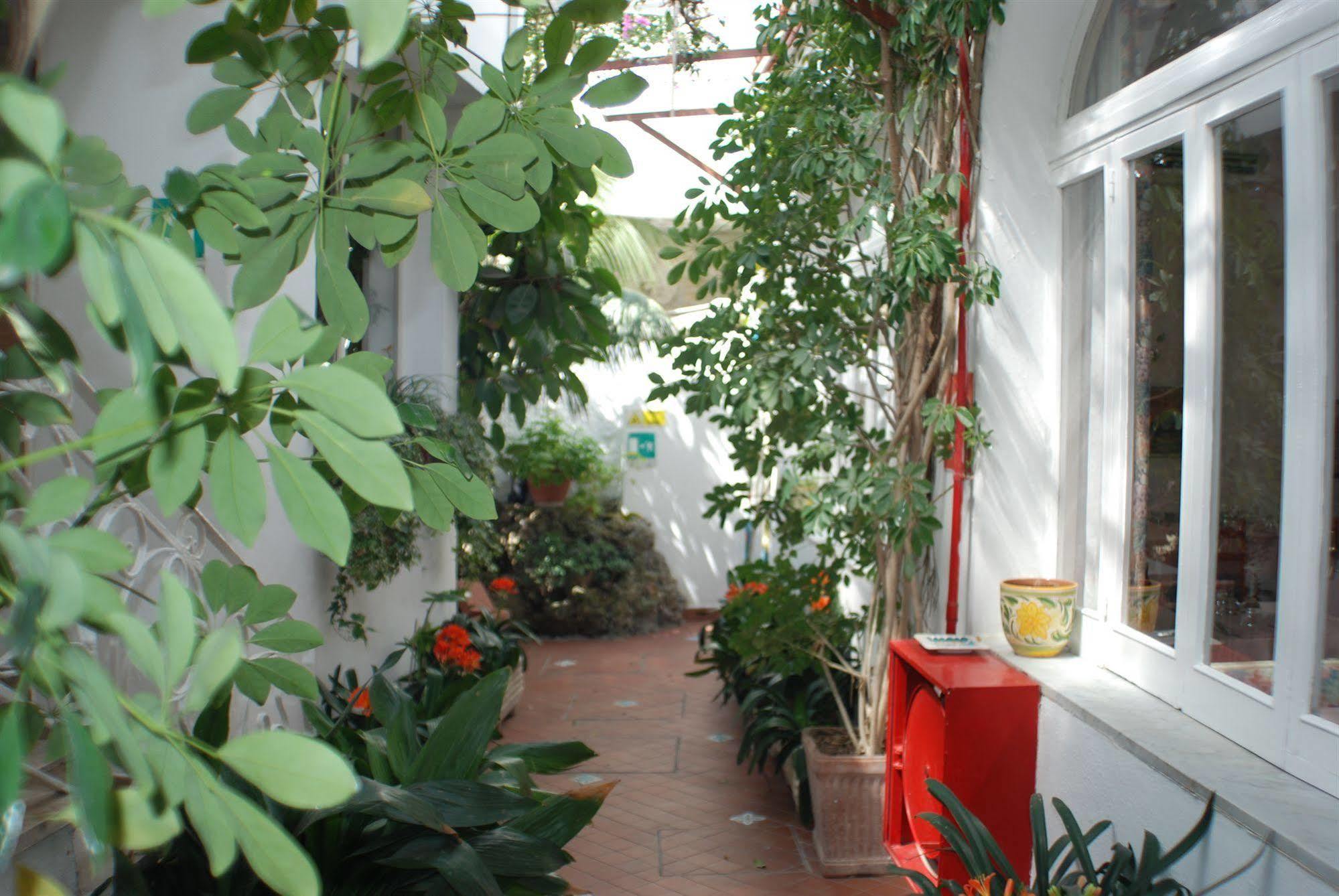 Hotel La Palma Sant'Angelo  Exterior photo