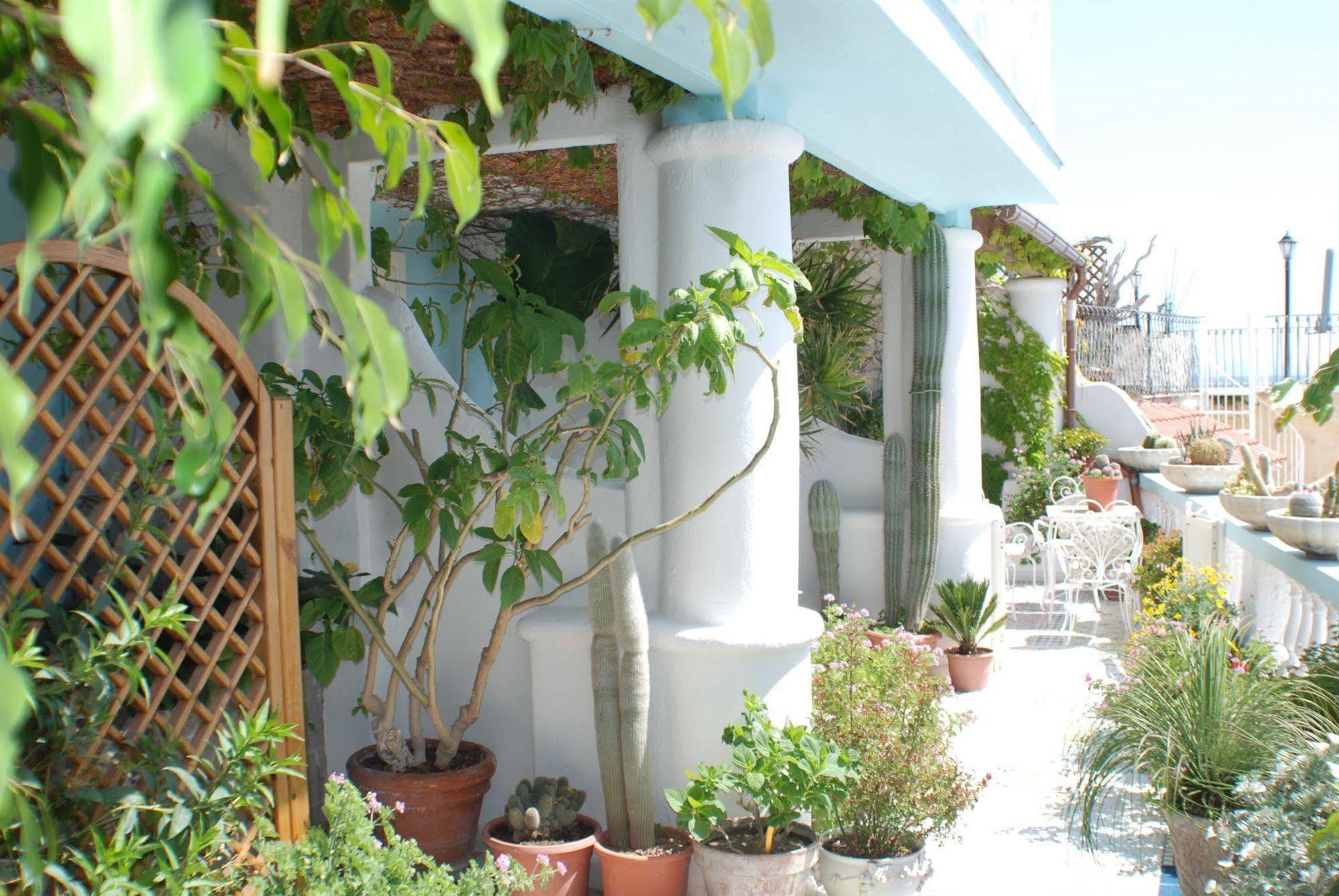 Hotel La Palma Sant'Angelo  Exterior photo